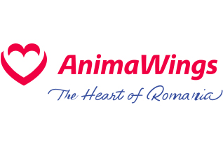 animawings