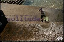 http://tiff.reea/sites/default/files/24_years_in_24_expressions_of_solitude.jpg