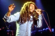 http://tiff.reea/sites/default/files/marley_still_1.jpg