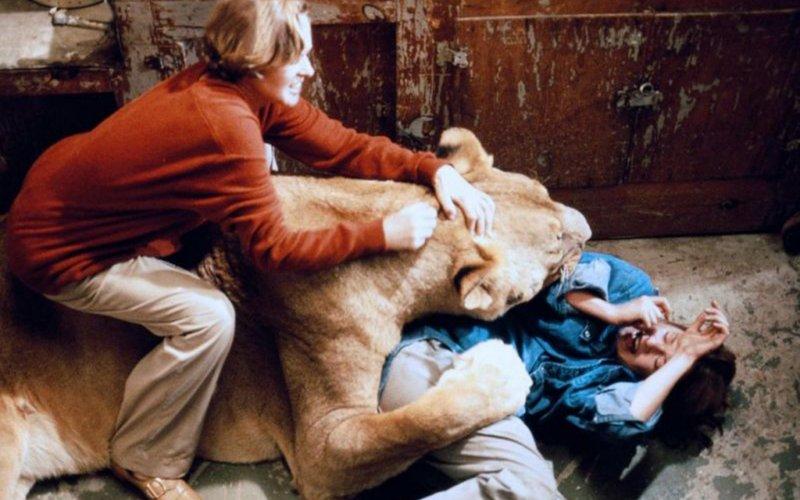 http://tiff.reea/sites/default/files/roar_melanie_griffith.jpg