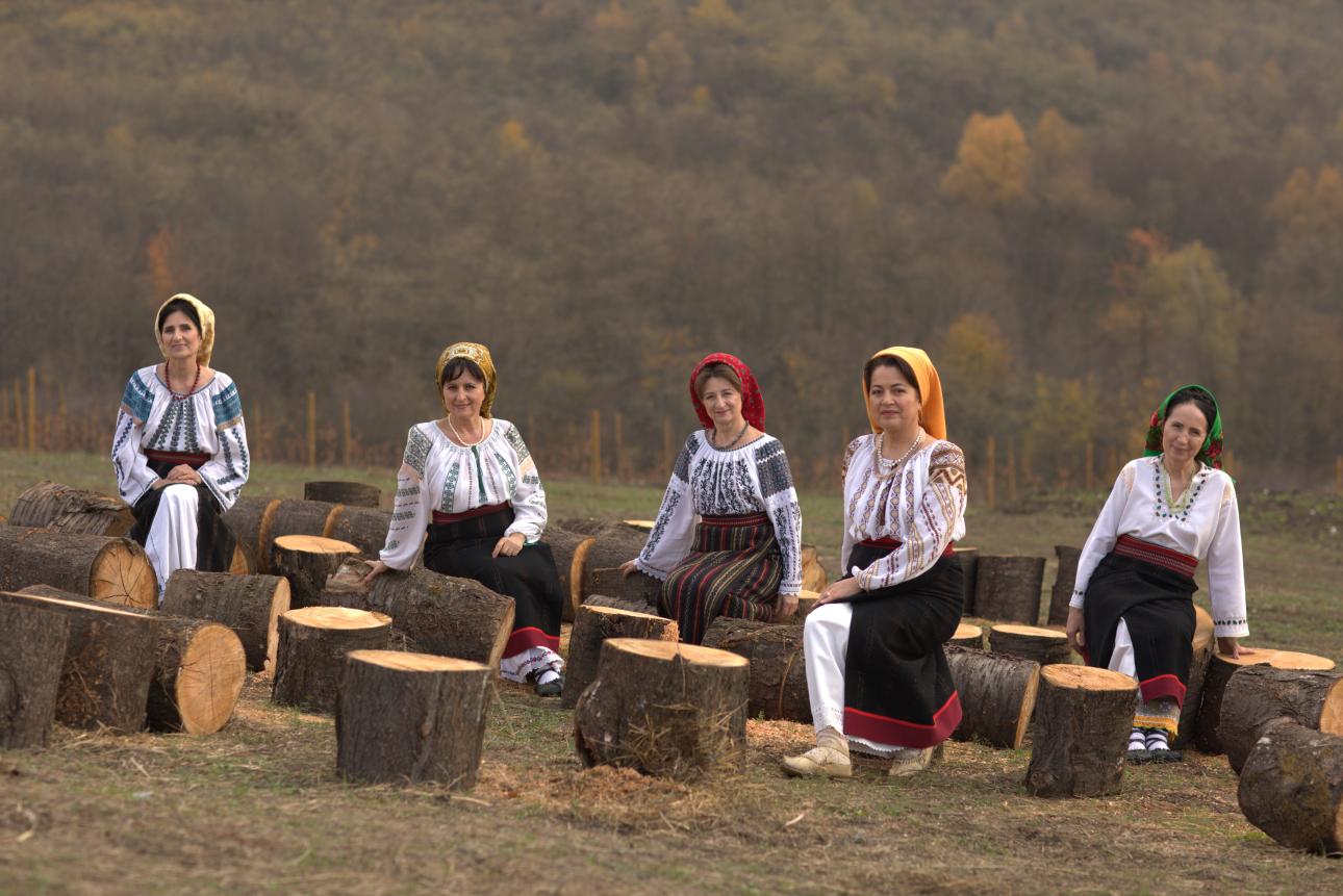 http://tiff.reea/sites/default/files/surorile_osoianu_2019_moldova.jpeg