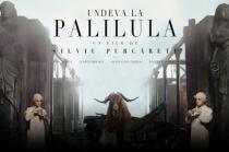 http://tiff.reea/sites/default/files/undeva-palilula_0.jpg