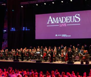 Amadeus LIVE at Transilvania IFF.24